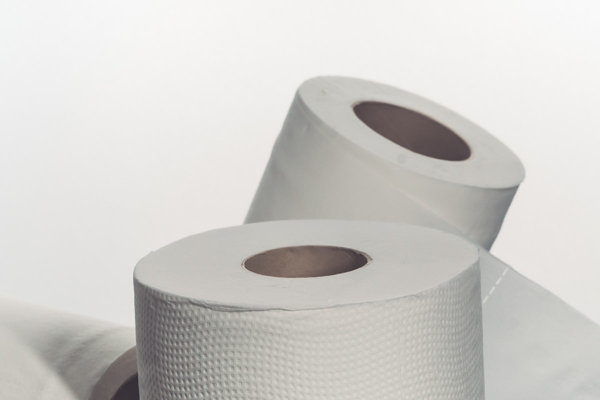 Toilet Tissue Rolls - 2-Ply (Carton of 48)